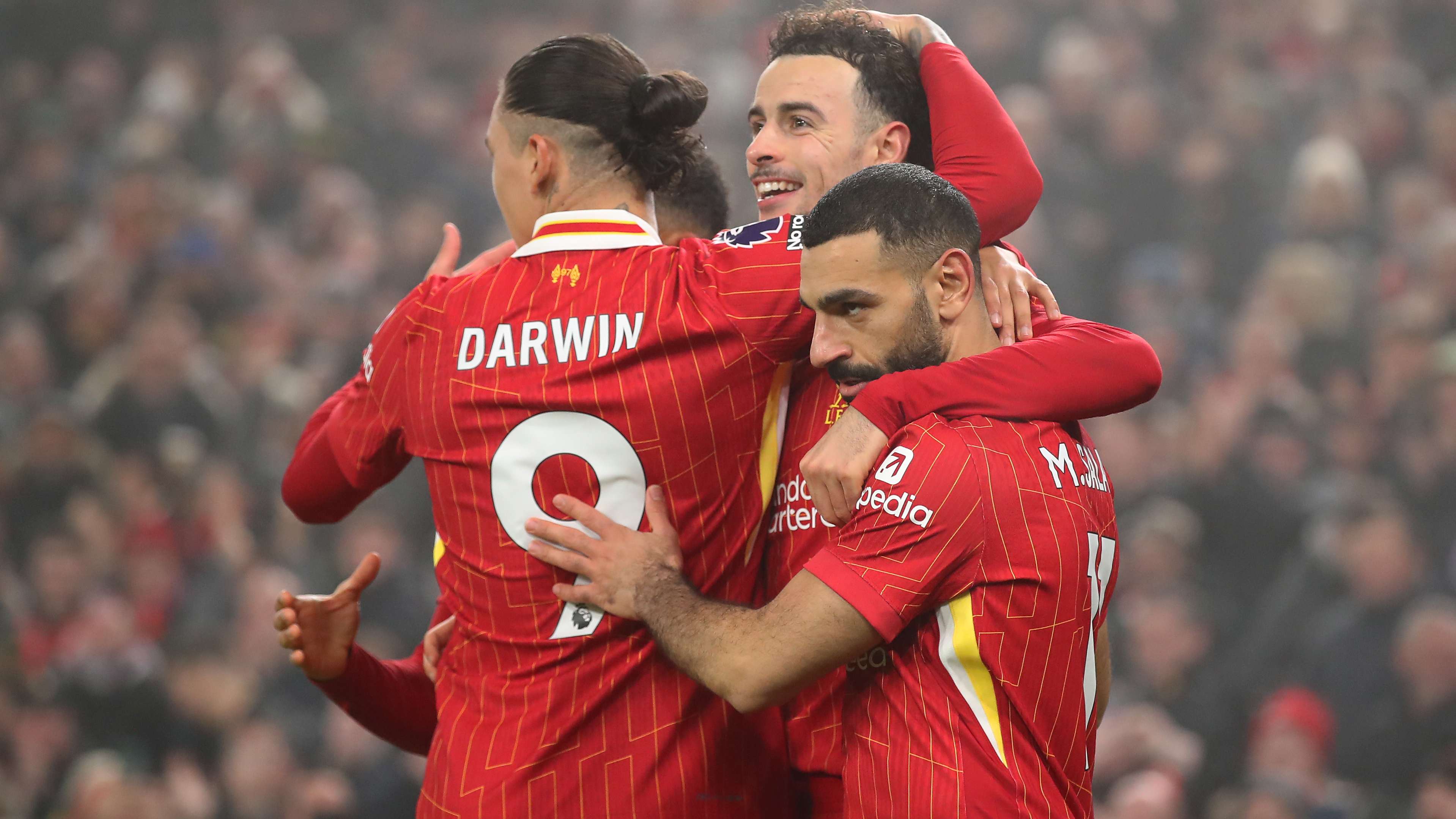 都独具观赏 都独具观赏